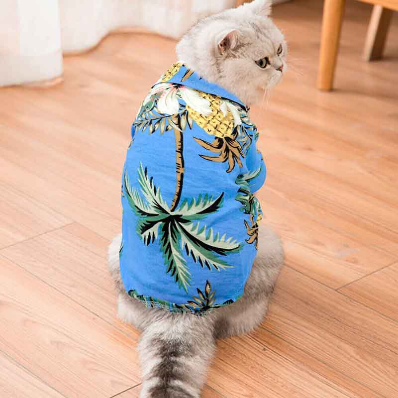 guayabera-perro-celeste-7-2 guayabera perro celeste 7 2