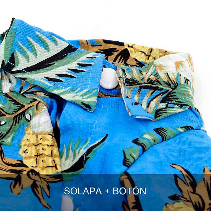 guayabera-perro-celeste-7-5 guayabera perro celeste 7 5