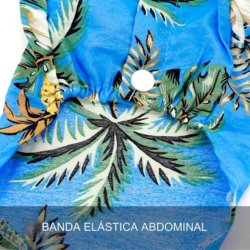 guayabera-perro-celeste-7-6 guayabera perro celeste 7 6