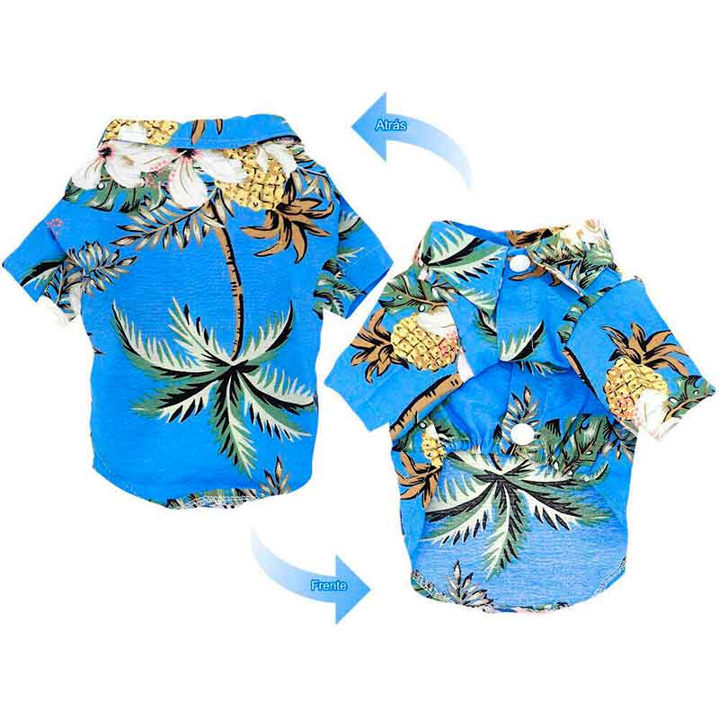 guayabera-perro-celeste-7-7 guayabera perro celeste 7 7