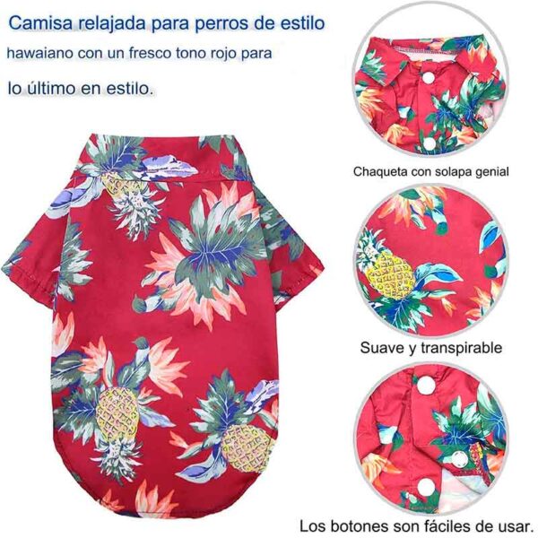 guayabera perro rojo 7 4