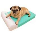 Camas para perros geriatricos