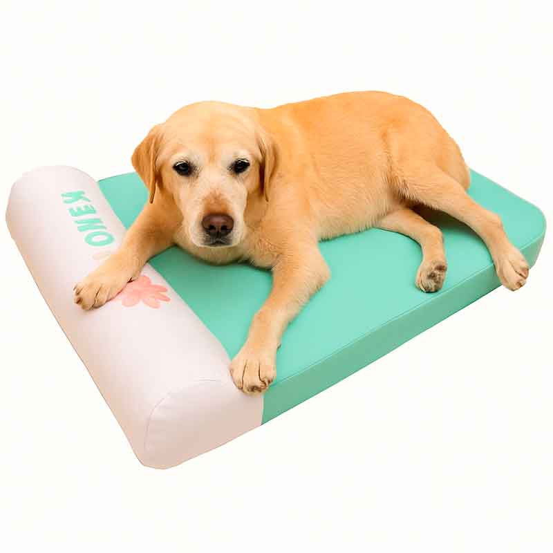 Camas para perros geriatricos 1