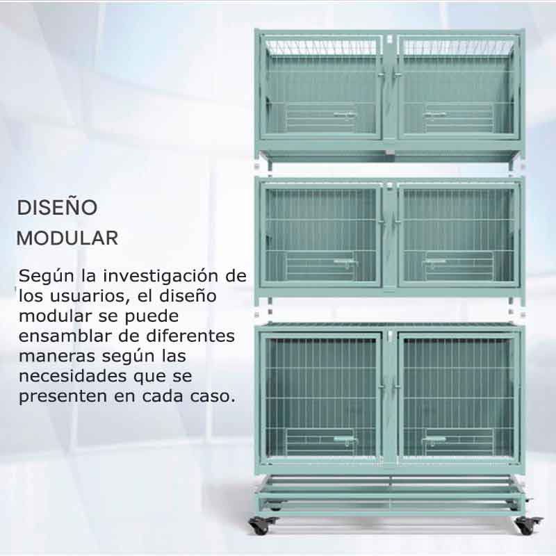 alternativas-cani-3x6-1-10 alternativas cani 3x6 1 10