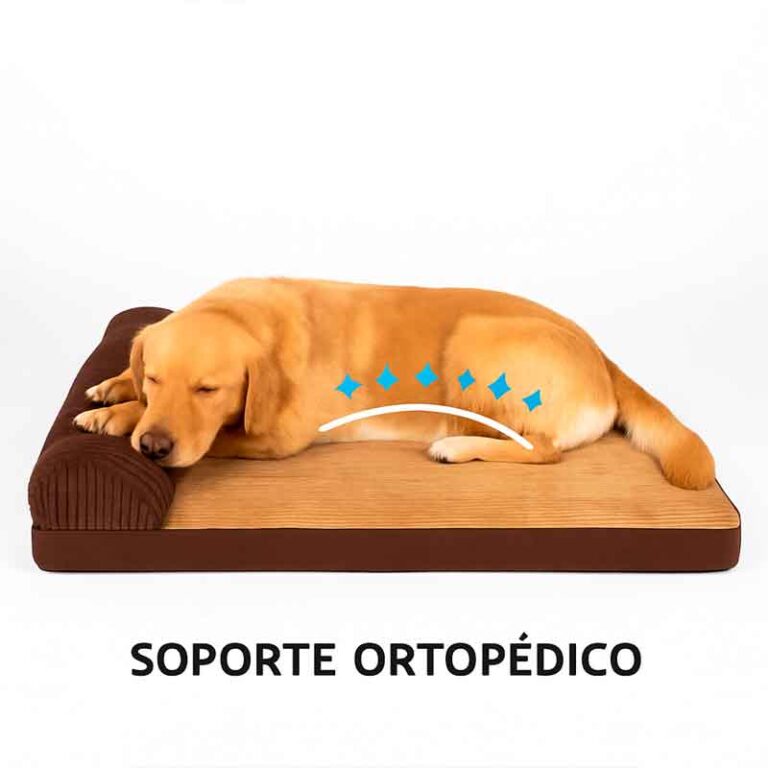 cama ortopedica