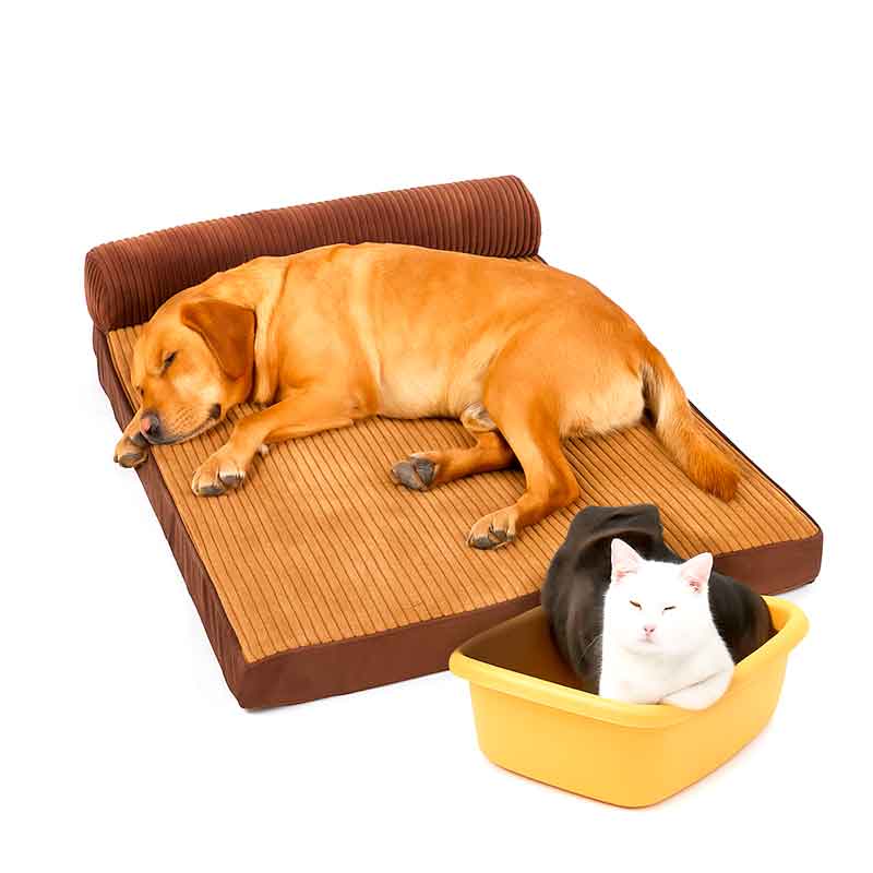 Cama Ortopédica Perro Grande