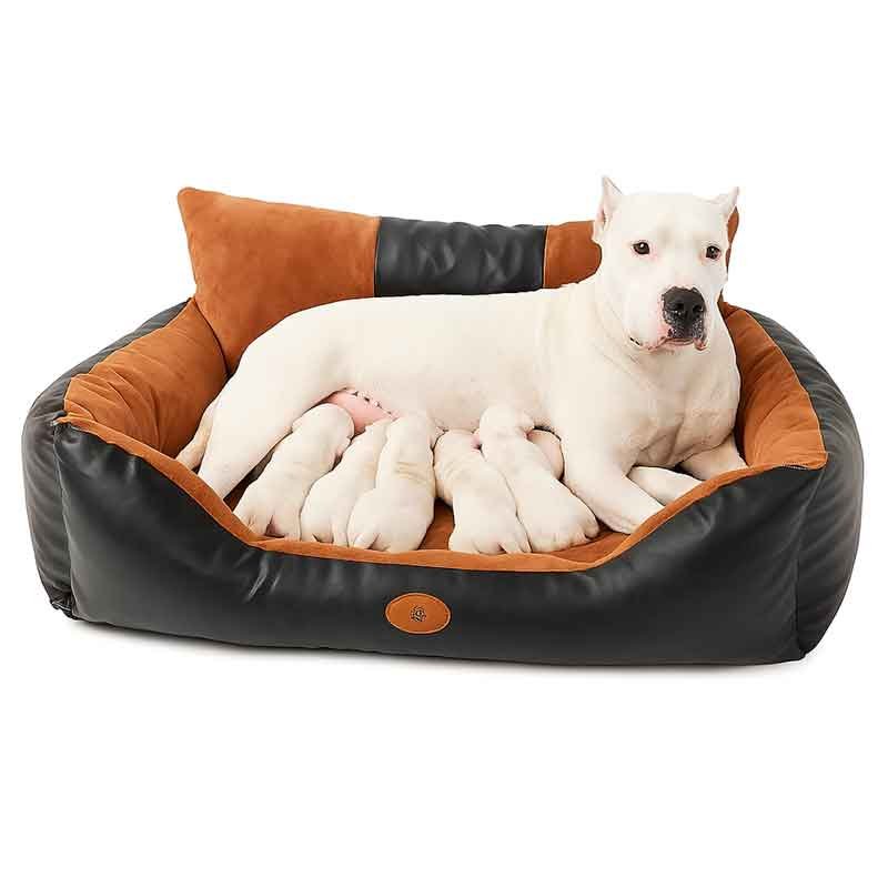 Cama para Perros Grandes Cuerina XXL, 1 cama premium, Precio Sorprendente y Exclusivo