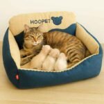 cama-para-perros-s-1 Cama para Perros Medianos