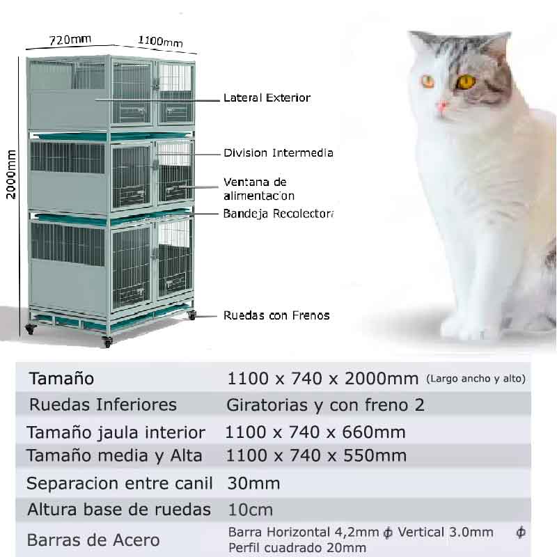 canil-especificaciones canil especificaciones