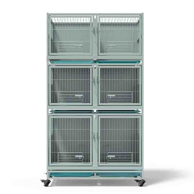 canil-veterinario-8 canil veterinario 8