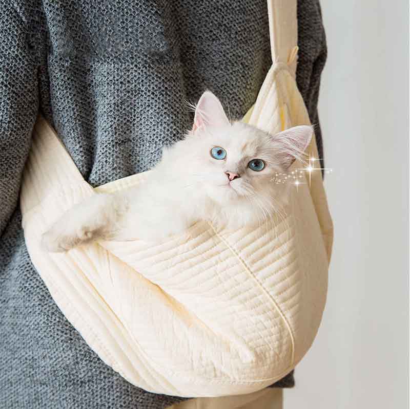 Bolso para Perro Pequeno 2