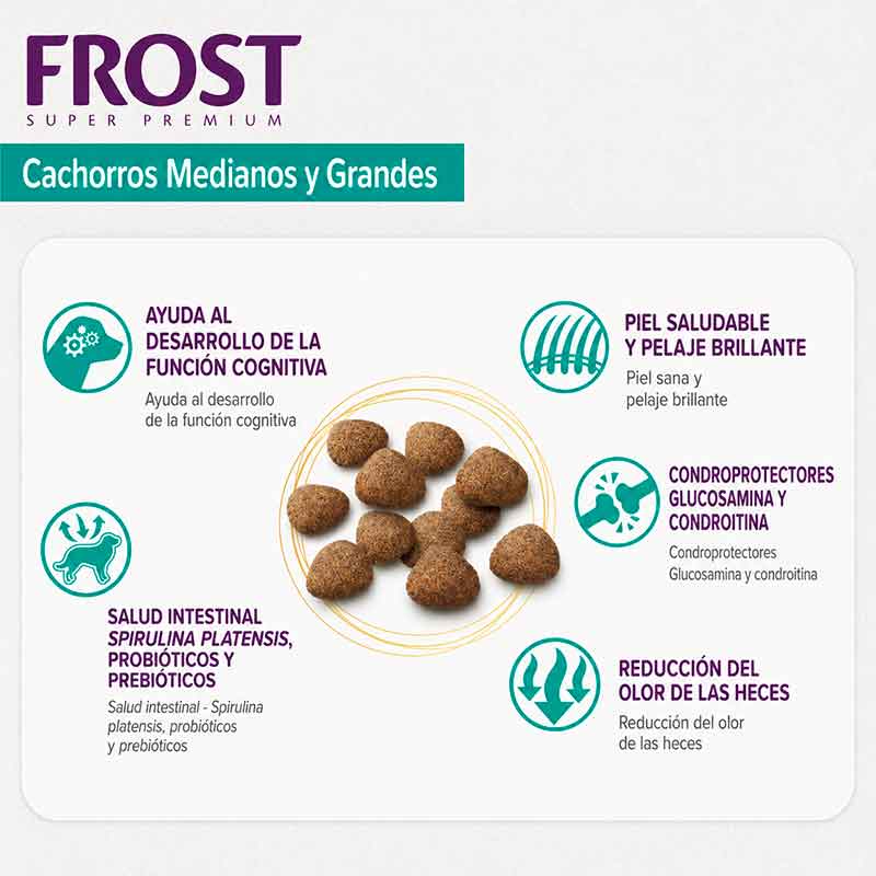 Gráfica de beneficios del alimento Frost Cachorros Medianos y Grandes, con croquetas al centro e íconos sobre función cognitiva, salud intestinal, piel y pelaje, articulaciones y reducción del olor de las heces.