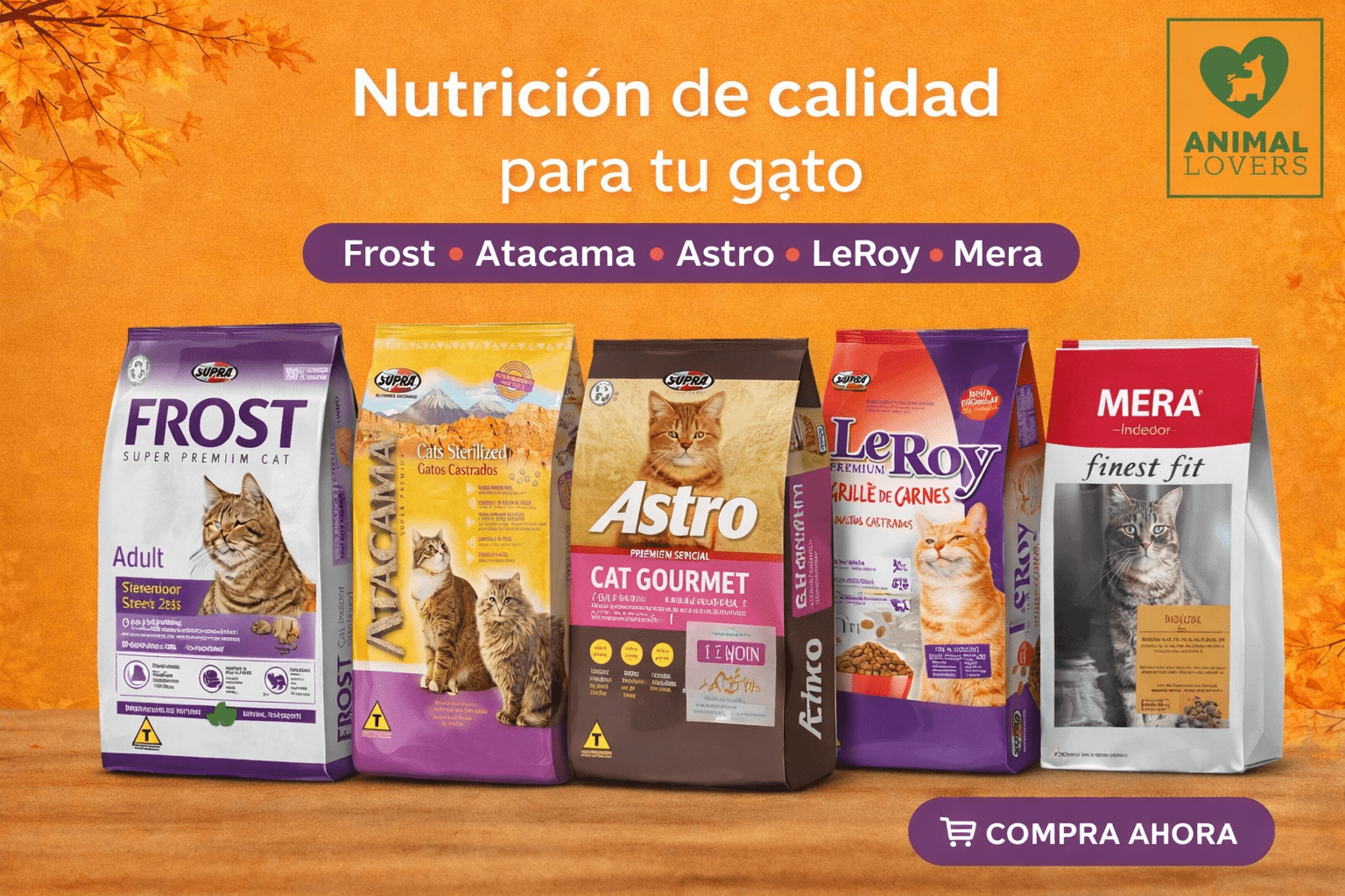 banner gatos