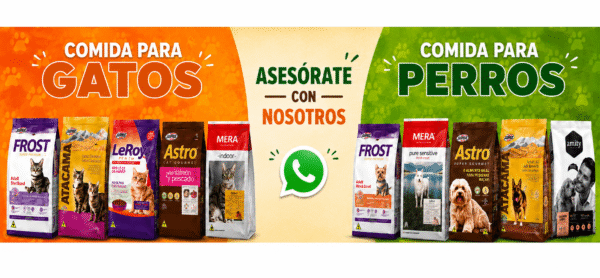 banner mixto 6