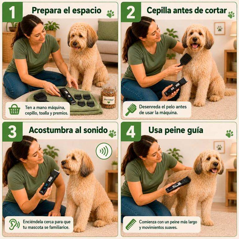 PASOS CORTA PELO 1