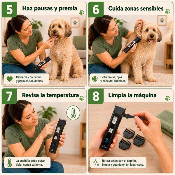 PASOS CORTA PELO 2