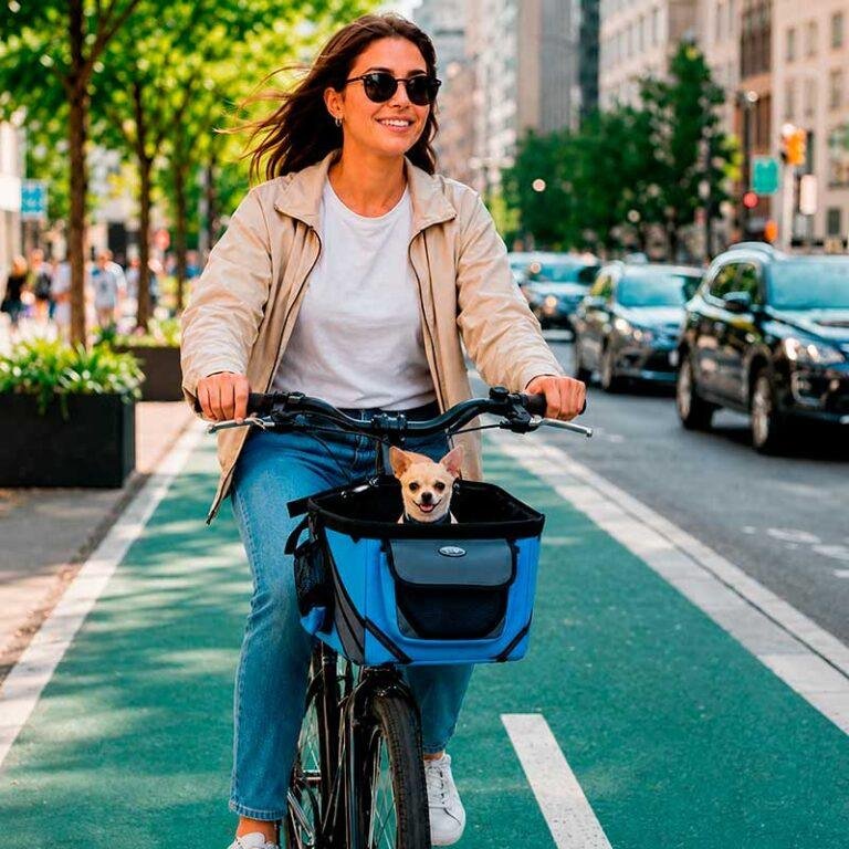 bolso paseo bici