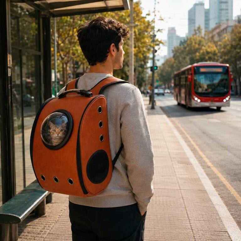 bolso salidas con gato