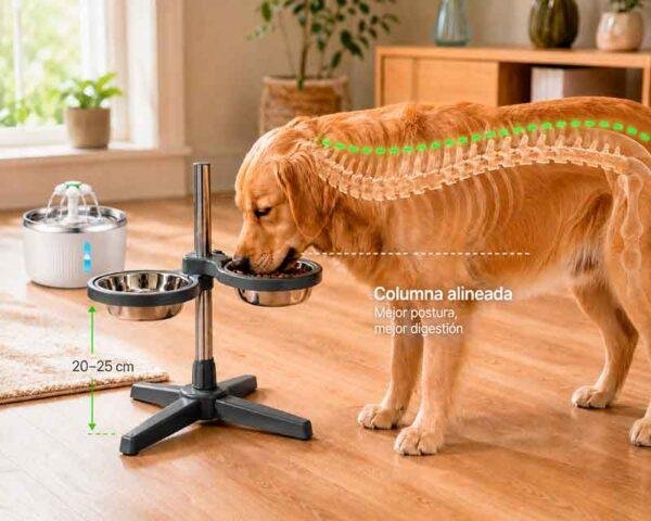 cuidados para mi perro 2