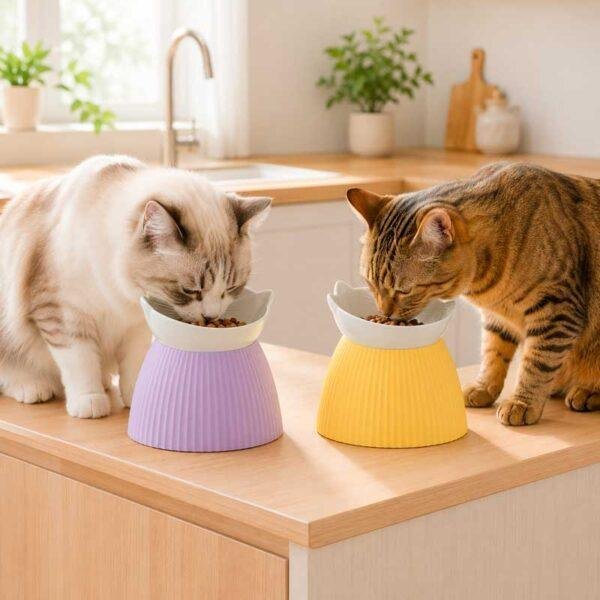 comedero gato