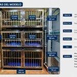 Jaula Veterinaria de Tres Niveles 3×6 de Acero Inoxidable Jaula Veterinaria de Tres Niveles 3×6 de Acero Inoxidable